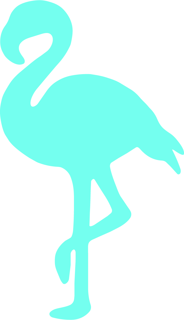 Loca's Loco Flamingoer